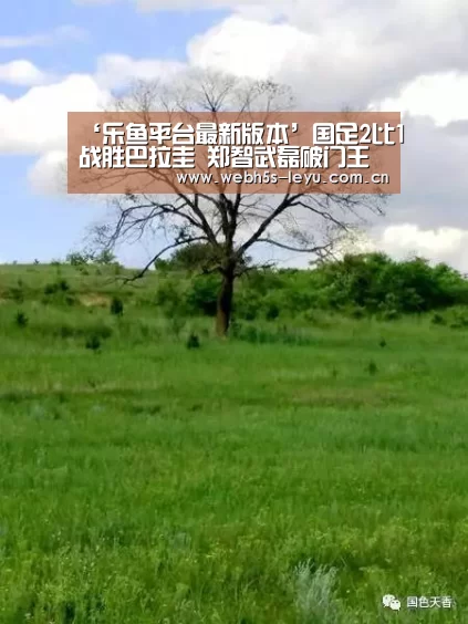 乐鱼体育App下载