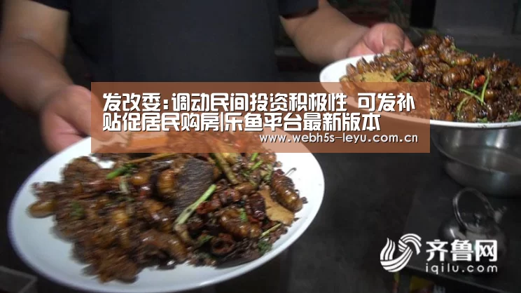 发改委:调动民间投资积极性 可发补贴促居民购房|乐鱼平台最新版本(图4) 乐鱼平台最新版本